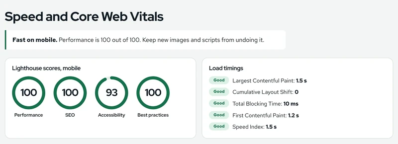 The Speed section of a report. It shows mobile Lighthouse scores of 100 for performance, 100 for SEO, 93 for accessibility and 100 for best practices, with every load timing marked good.